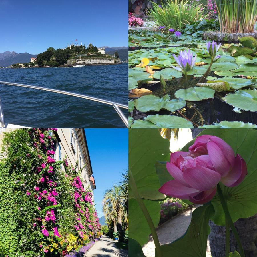 מונוואלה Lakeside Lago Maggiore מראה חיצוני תמונה